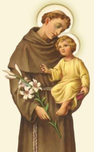 The Life Of St. Anthony Of Padua - Franciscan Friars Of The Atonement